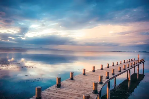 梦幻农场教程攻略