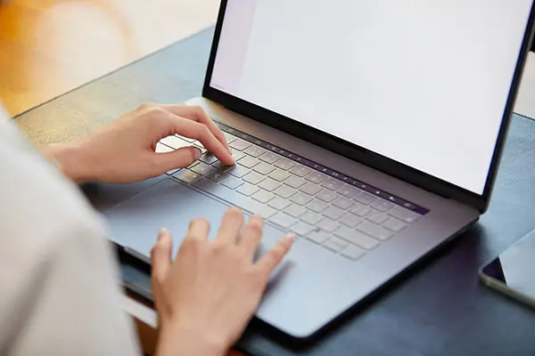 觅长生丹药教程攻略